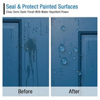 Rain Guard Paint Sealer Concentrate | Makes 1 Gallon | Protects All Painted Surfaces like Concrete, Wood, Stone from Water Damage, Stains/other contaminents | Silane/Siloxane Acrylic Waterproofer