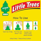 LITTLE TREES Car Air Freshener | Hanging Paper Tree for Home or Car | Morning Fresh | Pack of 3