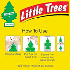 LITTLE TREES Car Air Freshener | Hanging Paper Tree for Home or Car | Jasmin | 12 Pack
