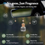RoyAroma Hanging Car Air Fresheners, 2 Pack Long Lasting Automotive air fresheners up to 30-45 Days, Non Toxic Natural Fragrance Car Diffuser Freshener for Cars,Home,Office- Cool Ice