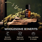 100% Pure Oregano Essential Oil - 0.34 Fl Oz - Oregano Oil for Hair, Skin, Diffuser, Aromatherapy & DIY Candle Making Scent