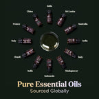 Lagunamoon Essential Oils Set - 12 Piece Premium Grade Home Essentials Oils - for Diffusers, Fragrance, Scents for Candle Making - Natural Aromatherapy Oils for Cars & Home Products, Room Sprays