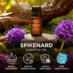 100% Pure Spikenard Essential Oil - 0.34 Fl Oz - Spikenard Oil for Hair, Skin, Diffuser, Aromatherapy & DIY Candle Making Scent