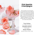HoogaLife Car Air Freshener Diffuser 2 Pack Hanging Air Freshener Diffuser - Pink Sparkle Champagne Fragrance Oil Air Diffuse r for Car, 45+ Days Long Lasting Fragrance Made in USA (P38 SP)