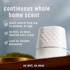 Febreze Plug Scent Booster Starter Kit – Air Freshener, Oil Diffuser, Continuous Scent Device, Includes 2 Gain Refills