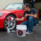 Chemical Guys ACC608 2 Pack Red Rocket Detailing Brush