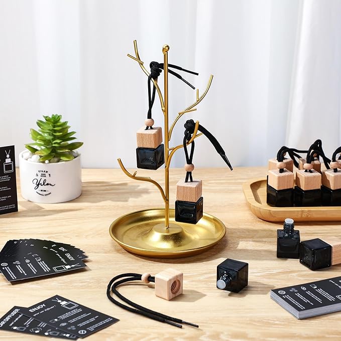 DaisyInner 30 Sets Car Diffuser Bottles Empty Bulk Hanging Car Air Freshener Diffuser Bottles Bulk Glass Perfume Holder with Instruction Cards for Essential Oil Fragrance Pendant(Square,Black)