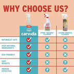 Carvida Seat & Carpet Instant Cleaner - Stain Remover Spray for Automotive Fabric Seats and Carpets, Grapefruit Scent, 16oz