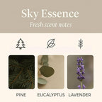 Aeris Car Fragrance Refill Kit - Includes 3 Pack Refill Scent Stones (Sky Essence (3 Pack Refill Kit))