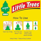 LITTLE TREES Car Air Freshener | Hanging Paper Tree for Home or Car | Cherry Blossom Honey | 12 Pack