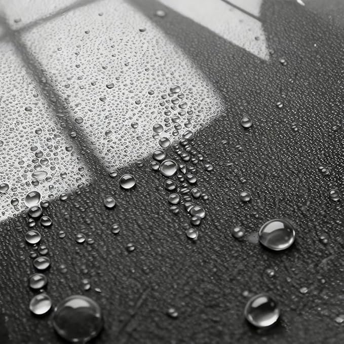 Hydrophobic Spray Sealant - Water Activated, Spray on Rinse off for Wet Car, High Gloss Paint Protection
