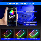 Car LED Lights for Floor Mats, Interior Car LED Strip Lights with App Control, Luminous Ambient Neon Lighting Kits, Universal Automotive Floor Mats (Plaid - USB, 4)