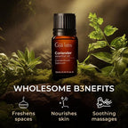100% Pure Coriander Essential Oil - 0.34 Fl Oz - Coriander Oil for Hair, Skin, Diffuser, Aromatherapy & DIY Candle Making Scent