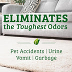 Biokleen Bac-Out Enzyme Cleaner and Stain & Odor Remover for Pet Stains, Laundry, Diapers, Wine, Carpets, & More, Eco-Friendly, Non-Toxic, Lime Scent, 128 Ounces