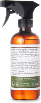 Dr. Beasley's Salt Chisel for Autos - Breaks Down Salt Stains on Carpets, Restores Softness, Leaves No Trace, Pro-Level Results, 12 Fl Oz