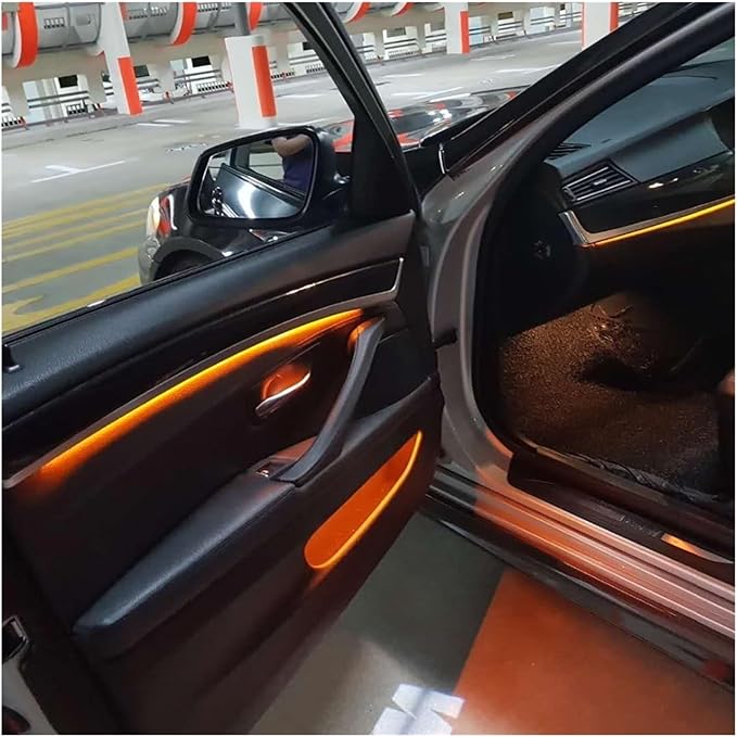 2 Colors Interior Led Stripe Decorative Door Ambient Light Compatible with BMW 5 Series F10/f11(Black Door Cups Ctrl)