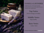 2Pack Lavender Vanilla Scented Automotive Air Freshener Set, Car Accessories Decoration Hanging Scented Car Diffuser for Men Women Best Gifts