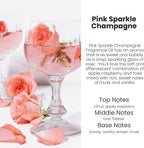 HoogaLife Car Air Freshener Diffuser 2 Pack Hanging Air Freshener Diffuser - Pink Sparkle Champagne Fragrance Oil Air Diffuse r for Car, 45+ Days Long Lasting Fragrance Made in USA (P38)