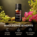 100% Pure Rosewood Essential Oil - 0.34 Fl Oz - Rosewood Oil for Hair, Skin, Diffuser, Aromatherapy & DIY Candle Making Scent