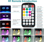 Dual Color Twinkle Starlight Headliner Kit 1100 Piece Starry Night Star Lights Ceiling 2 Color RGBW Bluetooth App Control Music Mode Fiber Optic Lights for Car 13.1ft/4m