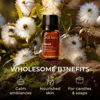 100% Pure Niaouli Essential Oil - 0.34 Fl Oz - Niaouli Oil for Hair, Skin, Diffuser, Aromatherapy & DIY Candle Making Scent