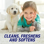 Resolve - 0-19200-00619-4 0-1920088365 High Traffic Carpet Foam Used to Clean, Freshens, Softens and Removes Stains, 132 oz, 1.38 lb. (Pack of 6)