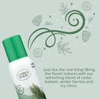 Citrus Magic Holiday Odor Eliminating Air Freshener Spray, Winter Wonder Green, 3-Ounce, Pack of 3