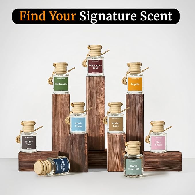 Car Air Fresheners, Hanging Car Fragrance Diffuser, Aromtopia Elegant Hotel-Inspired Scent, Car Odor Eliminator, Long-Lasting, Car Accessories Gift for Women & Men Gift (Hotel Ritz-Carlton), Pack of 2