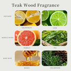 Labbyway Car Air Fresheners-Scent Diffuser for Car-Includes Fruit/Plants Scented Refills-Car Air Freshener vent clips-Long Lasting Air Freshener-Car Fresheners-Odor Eliminator-Champagne Gold
