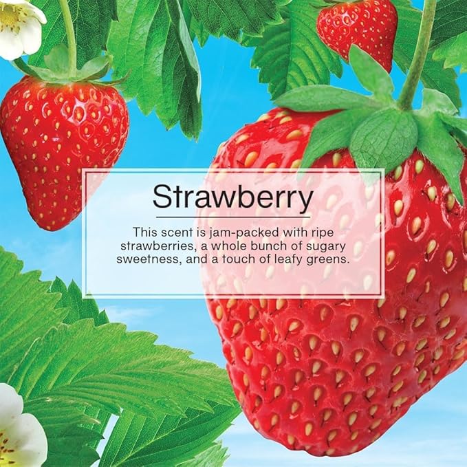 LITTLE TREES Car Air Freshener | Vent Wrap Provides Long Lasting Scent, Invisibly Fresh | 16 Air Fresheners | Strawberry