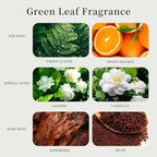 Labbyway Car Air Fresheners-Scent Diffuser for Car-Includes Fruit/Plants Scented Refills-Car Air Freshener vent clips-Long Lasting Air Freshener-Car Fresheners-Odor Eliminator-Champagne Gold