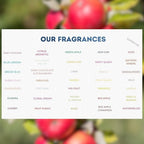 G's Breeze Red Apple Air Freshener – Crisp and Juicy Fragrance of Fresh Apples – Refreshing and Invigorating Aroma for Home, Car, or Office – Brighten Your Space with Fruity Freshness