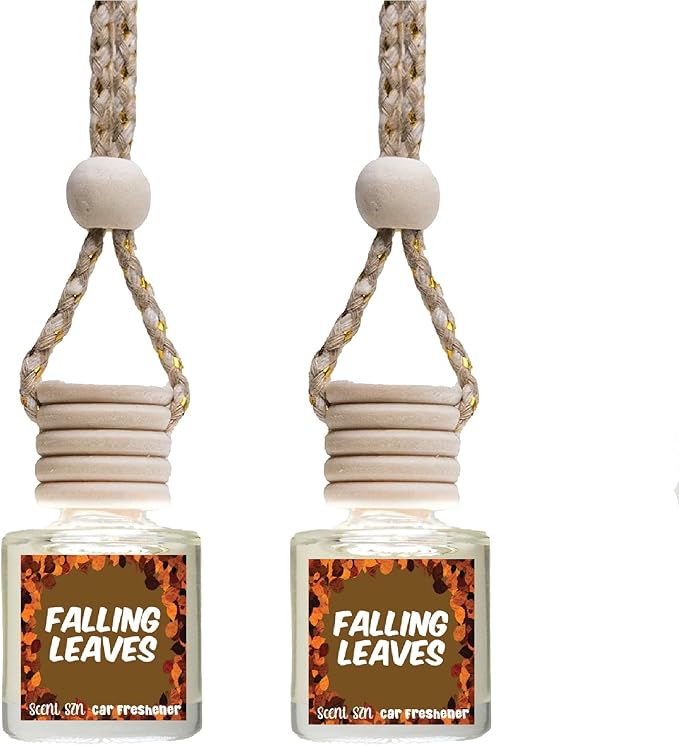 Hanging Car Air Freshener Diffusers (Falling Leaves), 2 Count (Pack of 1)