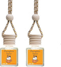 Hanging Car Air Freshener Diffusers (Pumpkin Spice), 2 Count (Pack of 1)