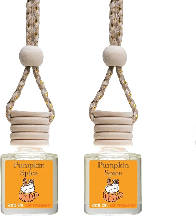 Hanging Car Air Freshener Diffusers (Pumpkin Spice), 2 Count (Pack of 1)