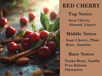 2Pack Red Cherry Air Freshener Set, Car Accessories Decoration Hanging Scented Car Diffuser for Men Women