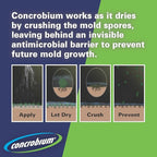 Concrobium Mold Control Spray, 32 oz, Mold and Mildew Cleaner for Hard Surfaces, Helps Eliminate and Prevent Mold and Musty Odors, No Bleach Formula for Indoor and Outdoor Use