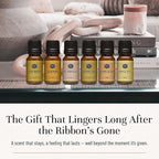 P&J Trading Fragrance Oils for Diffusers for Home Cozy Home Set Fragrance Scents for Candle Making - Soap Making Supplies - Car Diffuser Scents - Essential Home Gift Set - Amber, Clove & More