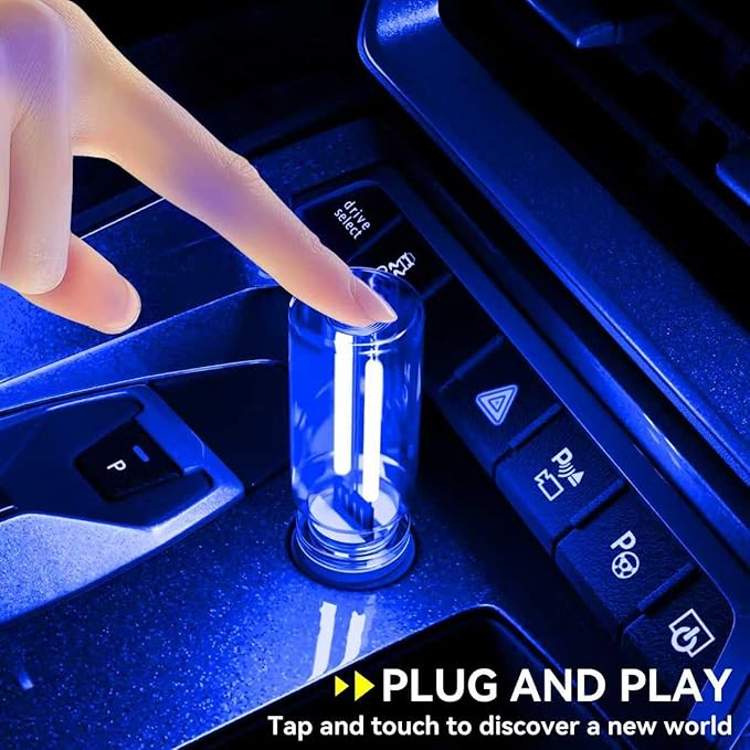 4 PCS USB Night Light, Touch Dimmable Mini USB LED Car Interior Ambient Lights, Portable Plug-in Glass Bottle Night Lamp for Car, Tent, Desk, Bedside(2Blue&2Purple)