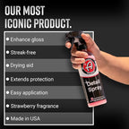 Adam's Polishes Detail Spray - Quick Waterless Detailer Spray For Car Detailing, Polisher Clay Bar & Wax Boosting Tech, Add Shine Gloss & Depth