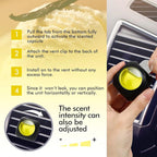Car Air Fresheners, Vanilla, 6-Pack, 4ml Each, Odor Eliminator