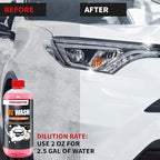 menzerna "MZ Wash" I Car Wash 1L I Premium Car Shampoo to Remove Dust, Dirt and Grime I Car Soap to Prep for Buffing & Polishing Compounds I Quick Dry and High Shine Finish I with a Tropical Scent