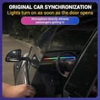 LED Car Ambient Lighting Strip for Tesla High Brightness with APP Control Multiple Colors and Car LED Strip Lighting Neon Lights for Model 3/Y (Dashboard)