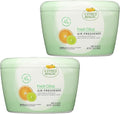 Citrus Magic Odor Absorbing Solid Air Freshener, Fresh Citrus, 20-Ounce, Pack of 2