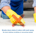 Spot Shot Professional Instant Carpet Stain Remover No-Scrub Aerosol, 14 oz