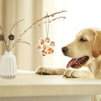 Tallew 24 Pack Car Air Freshener Dog Paw Shape Hanging Pet Lovers Funny Cute Spring Car Scents Air Freshener Rearview Mirror Pendant Cute Pet Odor Eliminating, Mixed Scents