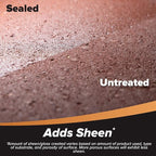 MasonryDefender Gloss, Wet Look Patio Paver Sealer, 2.5 gal - Clear Water-Based Sealant for Natural Stone Surfaces