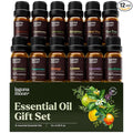 Lagunamoon Essential Oils Set - 12 Piece Premium Grade Home Essentials Oils - for Diffusers, Fragrance, Scents for Candle Making - Natural Aromatherapy Oils for Cars & Home Products, Room Sprays