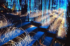 AZIMOM PMMA Plastic 100pcs 0.03in9.8ft End Glow Fiber Optic Cable Strands Roll for Star Sky Ceiling All Kind LED Light Engine Driver