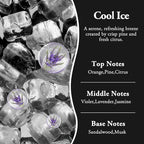 RoyAroma Hanging Car Air Fresheners, 2 Pack Long Lasting Automotive air fresheners up to 30-45 Days, Non Toxic Natural Fragrance Car Diffuser Freshener for Cars,Home,Office- Cool Ice
